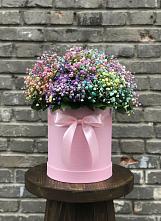 Цветочная композиция из Гипсофила и Розы в шляпной коробке #REPLACE_PRED# Тарках