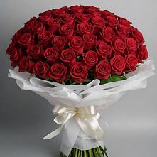 Букет 101 Красная роза Блэк Мэджик в Тарках
