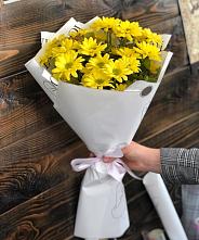 Букет цветов из:  Хризантемы #REPLACE_PRED# Тарках