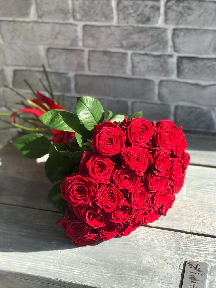 Букет Красные розы Фридом в Тарках