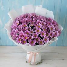 Букет цветов из:  Хризантемы #REPLACE_PRED# Тарках