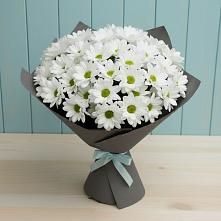 Букет цветов из:  Хризантемы #REPLACE_PRED# Тарках