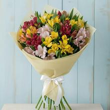 Букет цветов из:  Альстромерии в Тарках