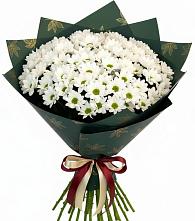 Букет цветов из:  Хризантемы в Тарках