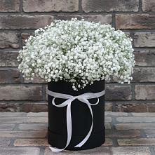 Цветочная композиция из Гипсофила в шляпной коробке в Тарках