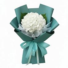 Букет цветов из:  Гортензия в Тарках